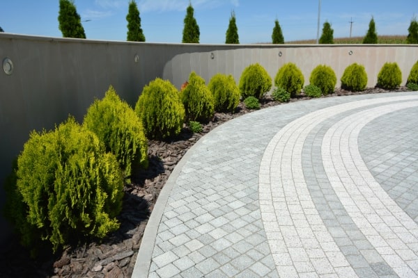 Learn More About Paving & Concrete